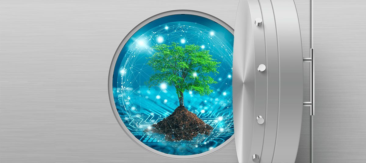 Representation of environmental data spaces