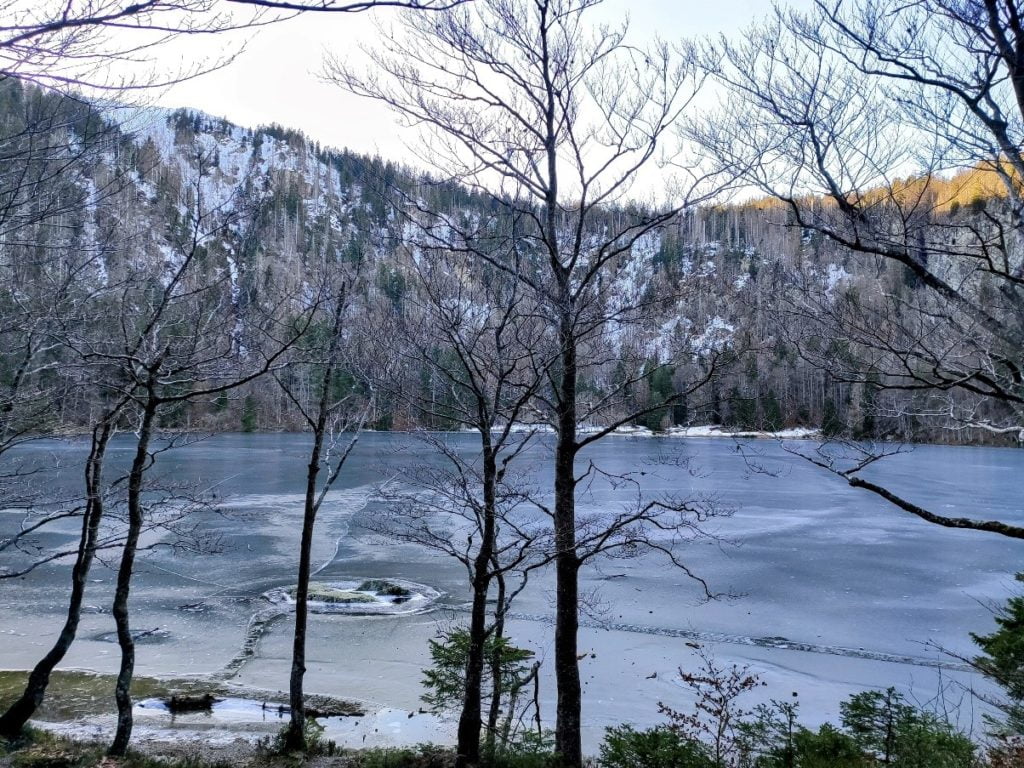 A large, frozen lake is visible through the trees. There are cracks and holes in the ice. On the other side, more forest stretches out across hills.
