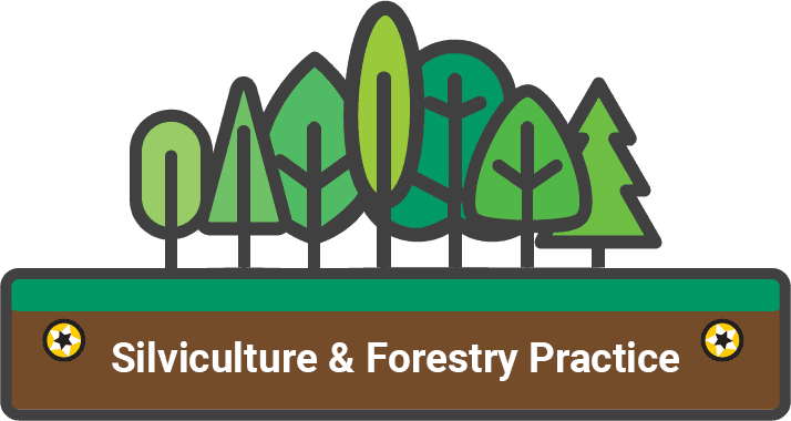 Seven different stylized green trees stand on a horizontal rectangle. The rectangle is green along the top and brown along the bottom, evoking grass upon earth. In the brown layer, there is a golden screw head on either side of the white text "Silviculture & Forestry Practice"