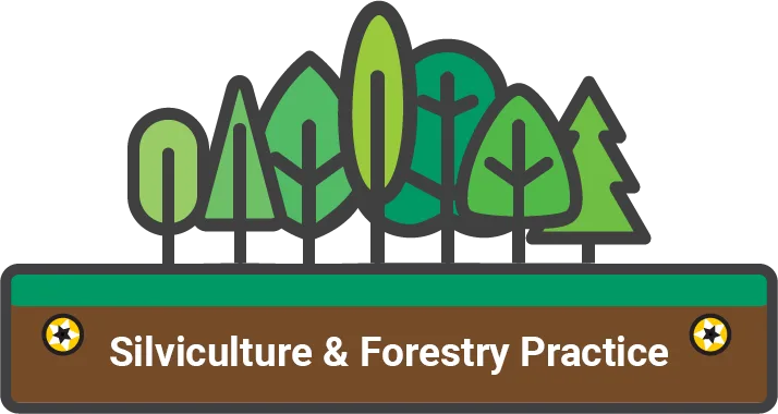 Seven different stylized green trees stand on a horizontal rectangle. The rectangle is green along the top and brown along the bottom, evoking grass upon earth. In the brown layer, there is a golden screw head on either side of the white text "Silviculture & Forestry Practice"