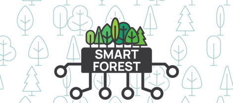 SmartForest 2025 - KI & Datenräume für Waldwirtschaft & Umwelt