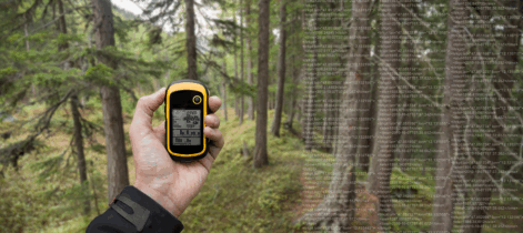 Guessing Better: Embracing uncertainty in (forest) decisions