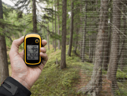 Guessing Better: Embracing uncertainty in (forest) decisions