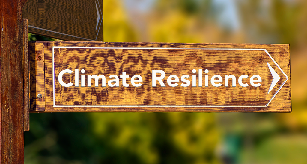 Close-up of a wooden signpost in a forest. It points to the right, with the words "Climate Resilience" on it in white.