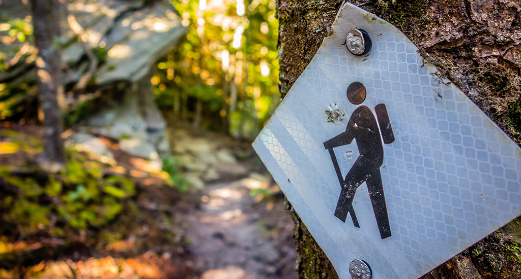 A white, diamond-shaped sign is bolted to a tree. On it is a black icon of a hiker with backpack and stick. To the left, out of focus, a trail heads off into the woods. 
