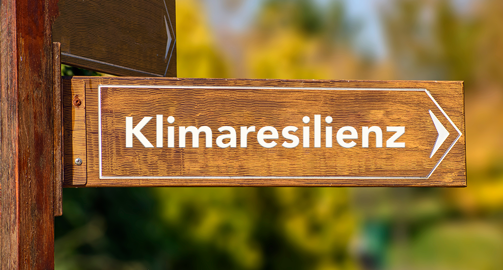 Nahaufnahme eines hölzernen Wegweisers in einem Wald. Er zeigt nach rechts und trägt die Aufschrift „Klimaresilienz“ in weißer Schrift.