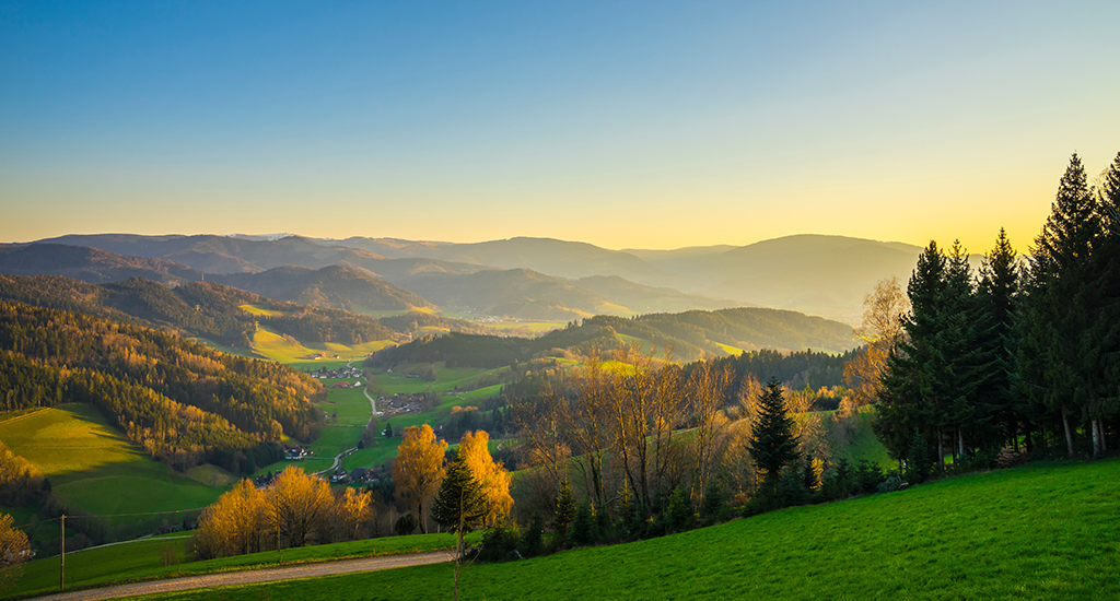 A sunny view from an elevated position in the German Schwarzwald, showing hills and valleys largely covered in grass and trees, with a few houses dotted along a road heading off into the distant mountains.