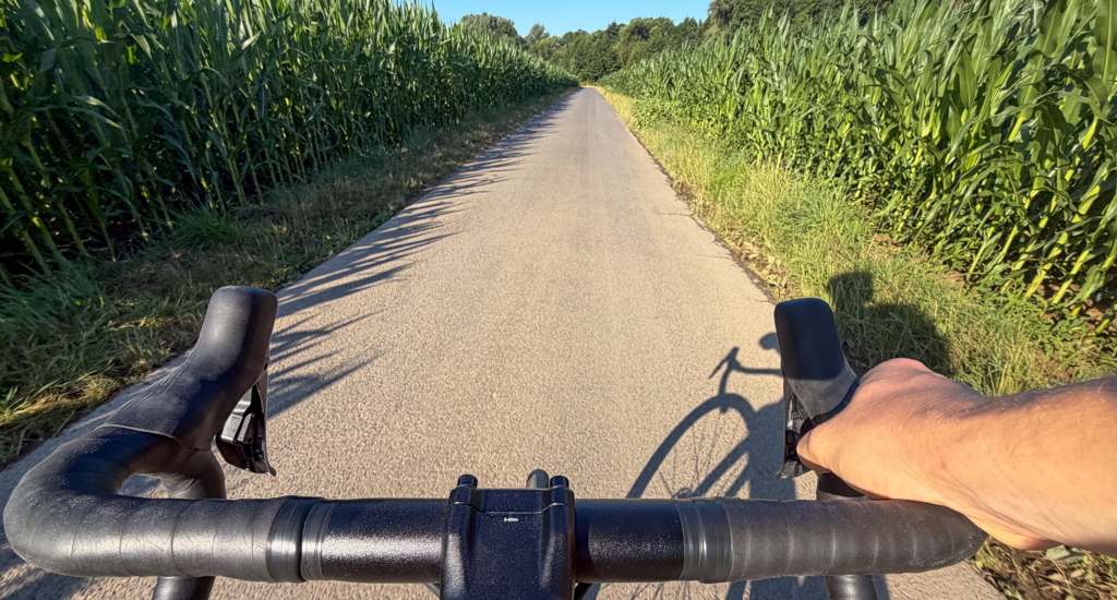 A view over the handlebars of a sports bicycle as it is driven between two cornfields. The path ahead is clear and on the horizon is a forest under a blue sky. The cyclist's shadow is visible in the front right of the picture.